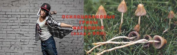 ешки Покачи