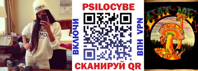 закладки  Сусуман  Псилоцибиновые грибы Magic Shrooms 